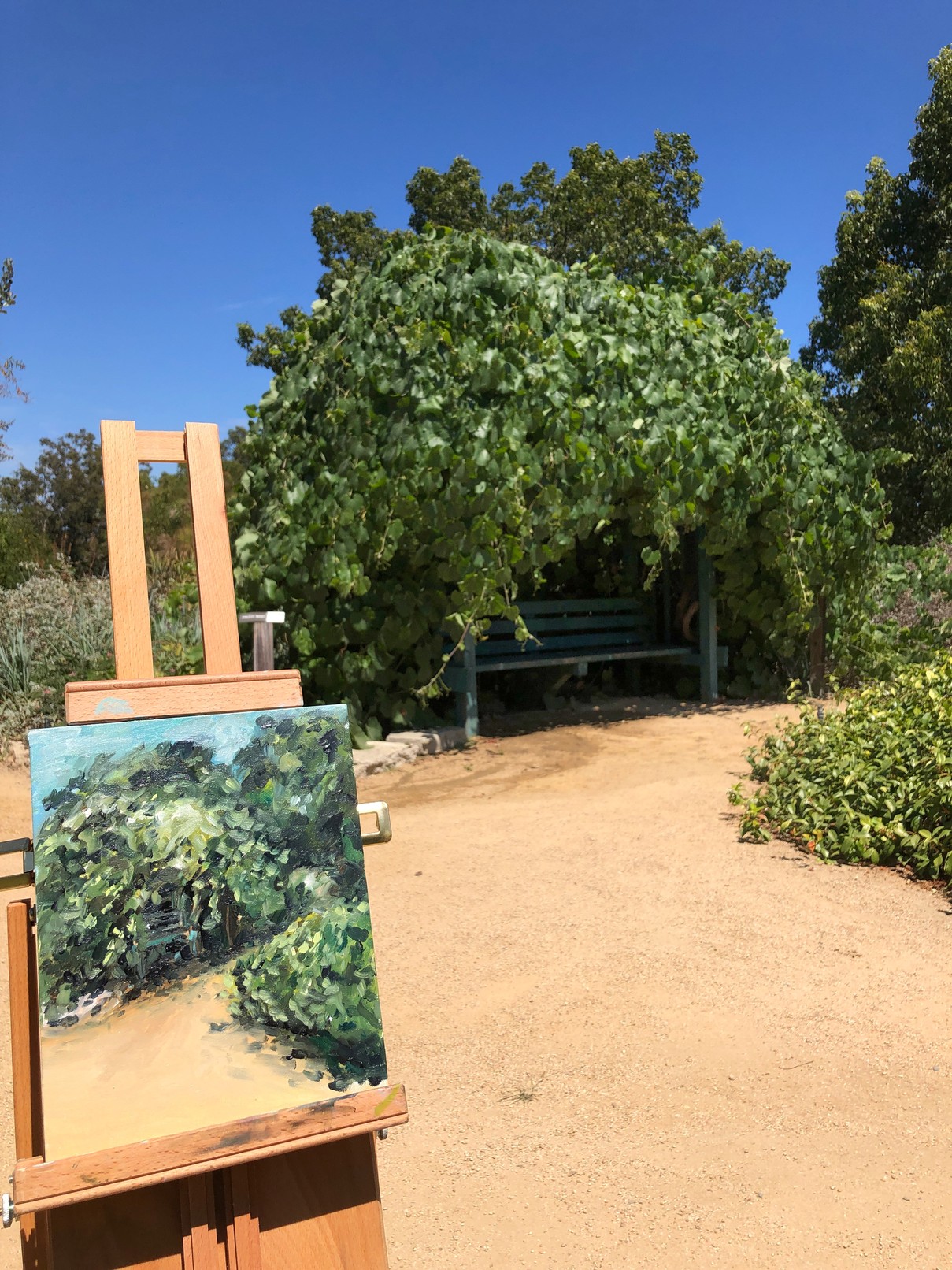 Photo Jul 19, 2 26 59 PM.jpg